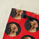 Search for dog beach towels Modern