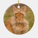 Search for lion head christmas tree decorations Cute