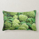 Search for hydrangea cushions Background