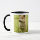 Search for shiba mugs Animal