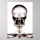 Search for negativity posters Skeleton