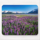 Search for lupin mousepads Meadow
