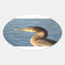 Search for birds eye stickers Wildlife