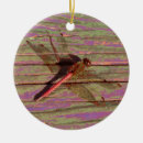 Search for dragonflies christmas tree decorations Pink