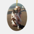 Search for sheltie christmas tree decorations Shetland sheepdog