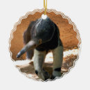 Search for anteater christmas tree decorations Animal