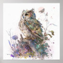 Search for owl portrait posters Nature