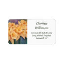Search for yellow daffodil return address labels Watercolor