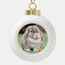 Search for lop rabbit christmas tree decorations Easter