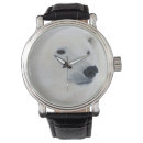 Search for churchill watches Danita delimont