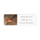 Search for maple leaf return address labels Thanksgiving