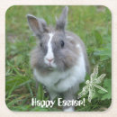 Search for hare barware Bunny