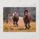 Search for winners postcards First place
