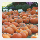 Search for harvest stickers Flower