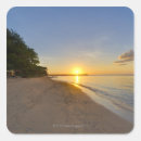 Search for golden sun stickers Outdoors