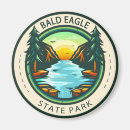 Search for bald magnets River