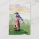 Search for song business cards Bird