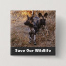 Search for wild dog badges Wildlife