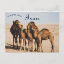 Search for iran postcards Middle east