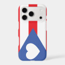 Search for flag cases Symbol