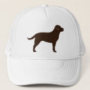 Search for labrador hats Retriever
