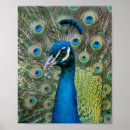 Search for jewel art Home
