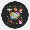 Search for magnified stickers Adventure