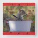 Search for nut with squirrel art Cute