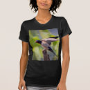 Search for swallow bird tshirts Wildlife