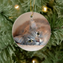 Search for long haired cat christmas tree decorations Grey
