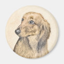 Search for red haired magnets Doxie
