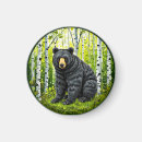 Search for black bear magnets Animal