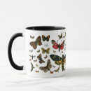 Search for butterfly moth mugs Illustration