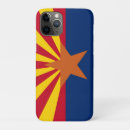 Search for arizona flag cases State