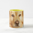 Search for golden retriever puppies mugs Portrait