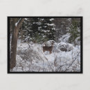 Search for winter deer postcards Snow