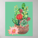 Search for cactus flower posters Succulents
