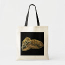 Search for subjects accessories Photography