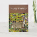 Search for fall seasons best cards For him
