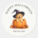 Search for witch hats stickers Kids halloween party