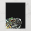 Search for iguana lizard postcards Animal