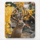 Search for trophy electronics Deer