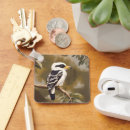 Search for kookaburras key rings Bird