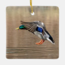 Search for mallard duck christmas tree decorations Water