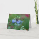 Search for mist flower cards Nature