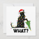Search for funny cat christmas invitations Cats