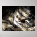Search for zen posters Cute