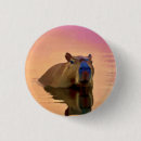 Search for capybara accessories South america