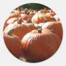Search for thanksgiving photo stickers Pumpkins