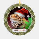 Search for santa dragon christmas tree decorations Lizard